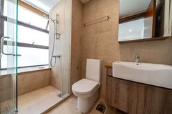 Holland Link (D10), Terrace #503034891